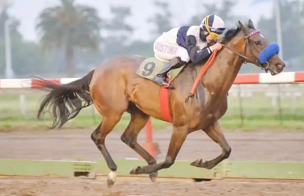 La “Pecke” imparable...