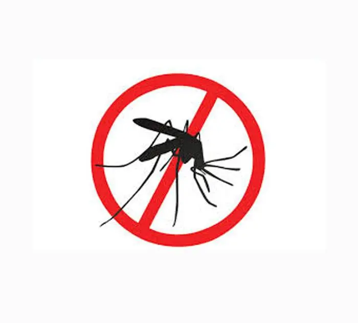 Continúa adelante la prevención del dengue