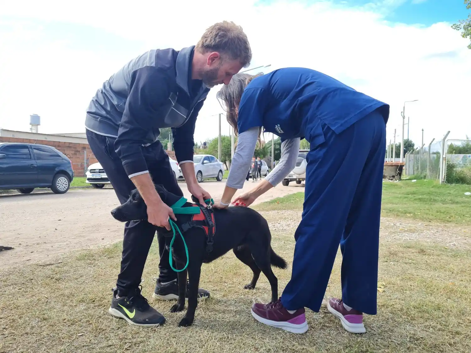 Orejas Verdes recorre los barrios de la ciudad.