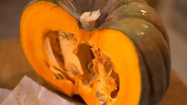 La siembra directa duplicó la producción de zapallo: 50 mil kilos por hectárea