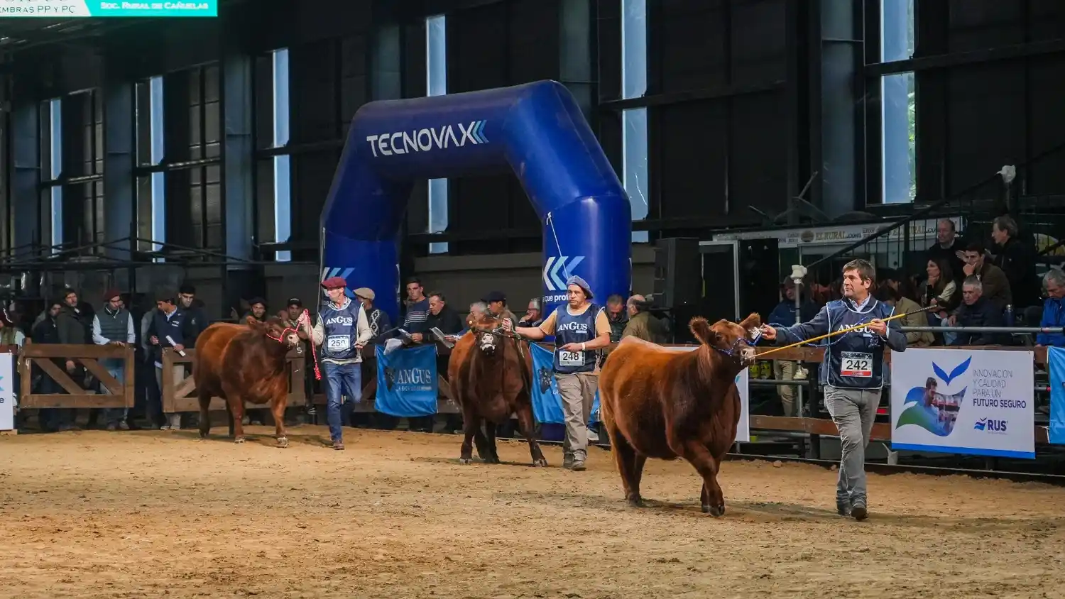 expo angus otoño 26 - 2