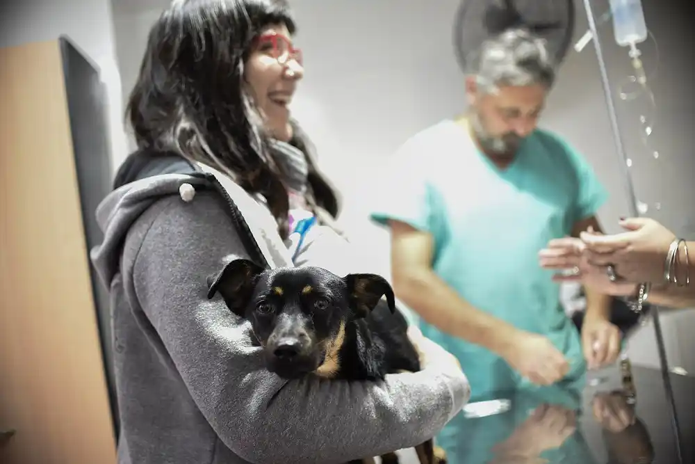 Ya hubo más de 3.200 atenciones a mascotas en el Parque Garay