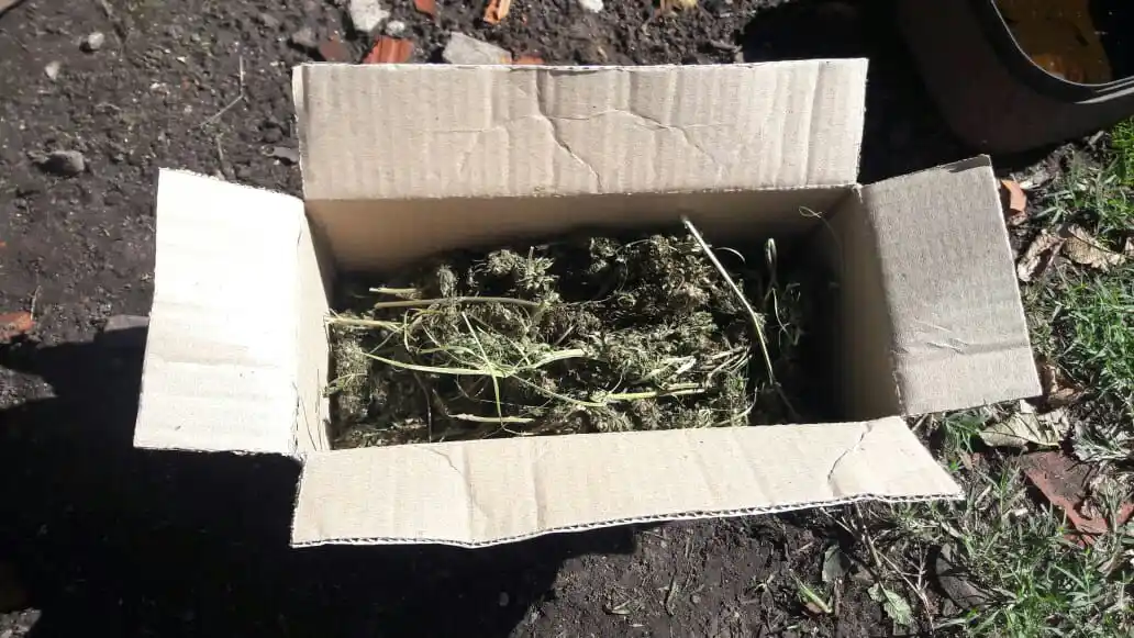 Desarticularon «kioscos» de drogas
