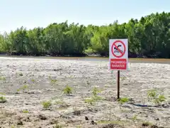 Precaución en Costanera Sur: Espacio exclusivo para deporte y recreación