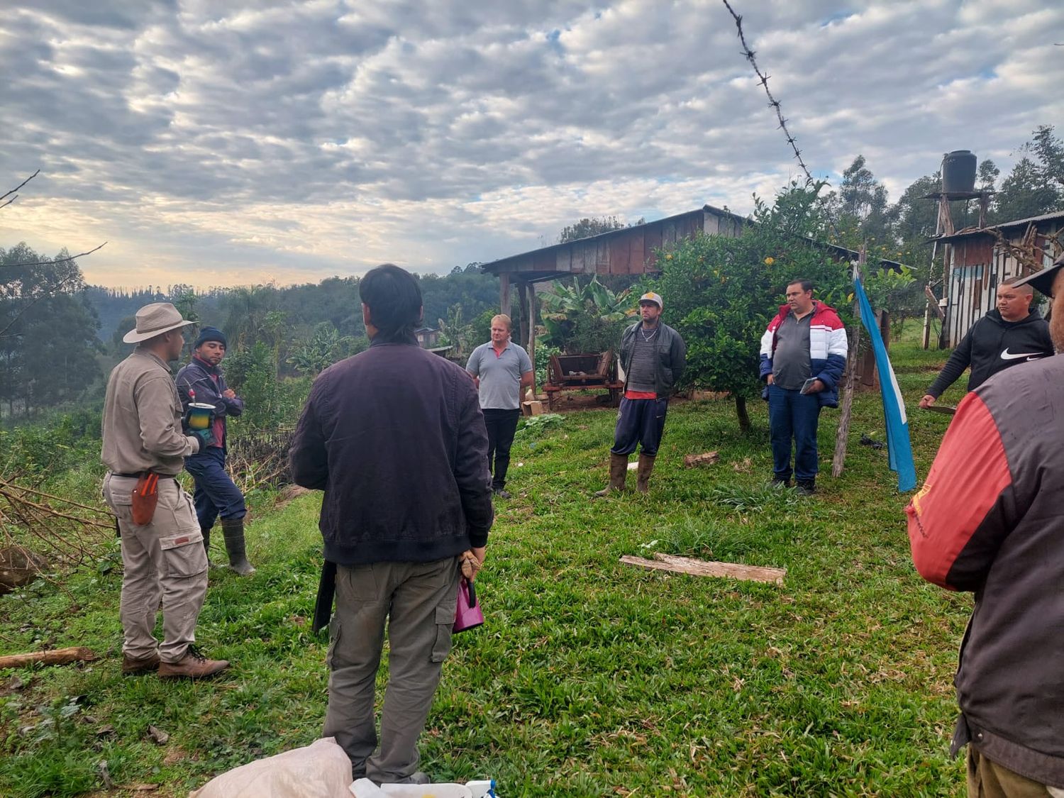 Yerba Mate: poda y curvas a nivel en el Alto Uruguay