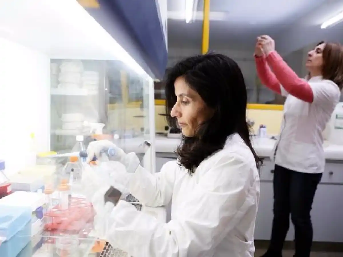 Científicos argentinos descubrieron beneficios de la curcumina para tratar el cáncer