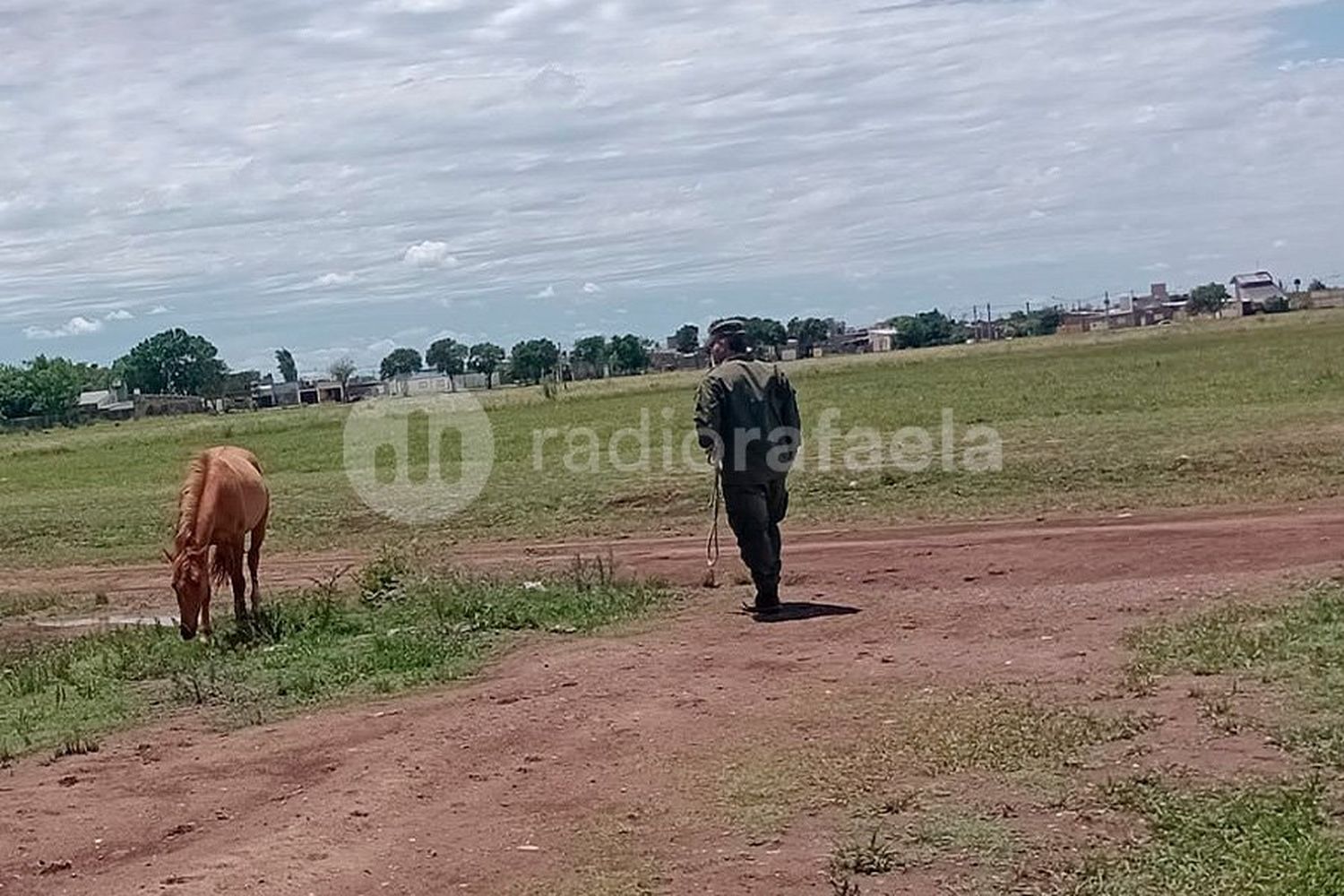 La guardia rural de Los Pumas secuestró cuatro caballos que andaban sueltos en Bella Italia