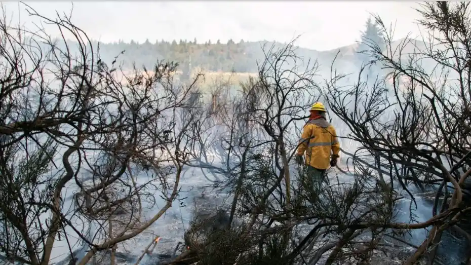 Brigadistas de Catamarca, Jujuy, Salta y Tucumán se unen al combate del fuego