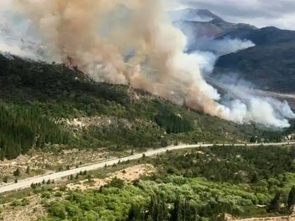 Presupuesto 2026: el Gobierno asignó el número más bajo de la historia para la protección de bosques nativos