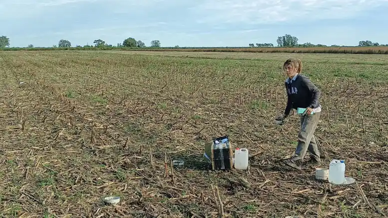 Cómo mejorar los suelos con más cultivos