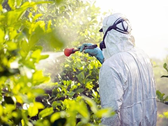Casi 90 aplicadores de fitosanitarios se capacitan en los encuentros organizados por el Municipio