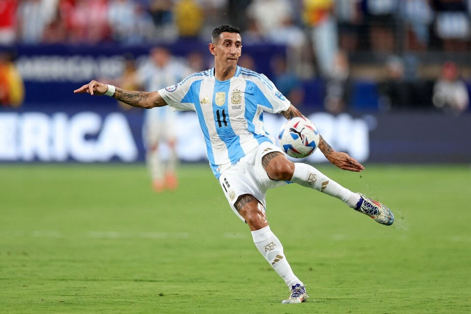 Cuántas finales jugó Ángel Di María en la Selección Argentina