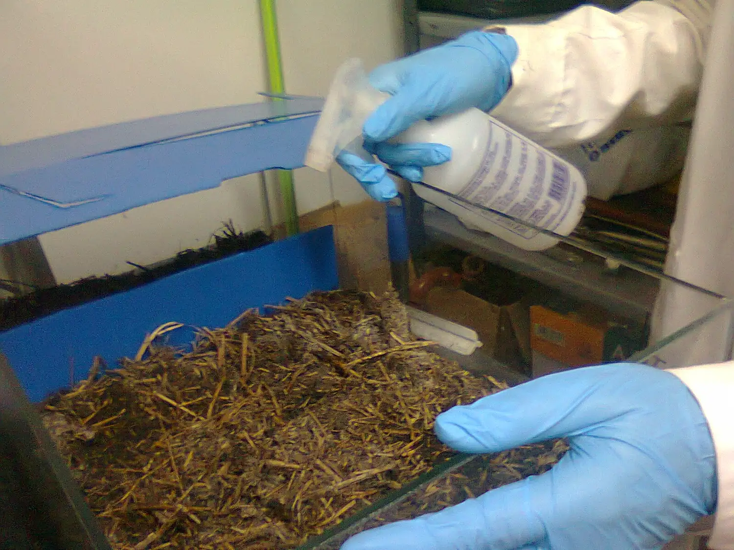 Camas biológicas, una alternativa eficaz para reducir la contaminación