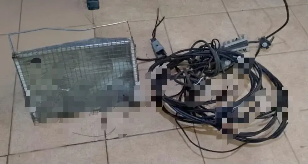 Detuvieron a dos hombres por el robo de un reflector y cables en Rafaela