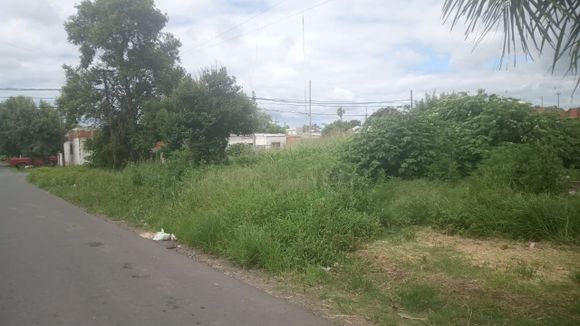 Baldío de Rivadavia e Italia: “Hay ratones y mucha basura”