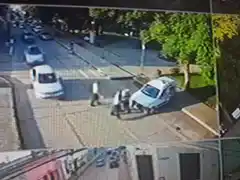 Maltrato animal: la estupidez humana es infinita