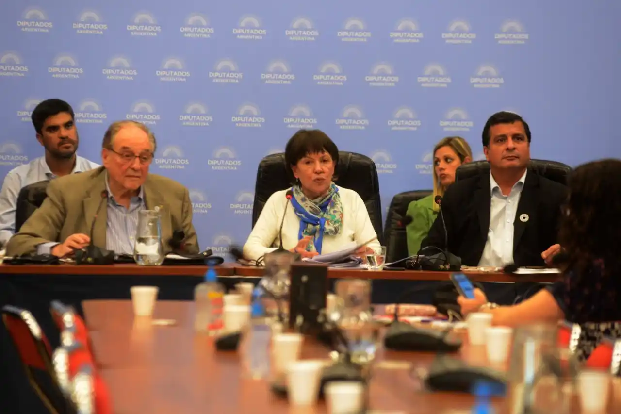 Se reúne comisión en Diputados para tratar la creación de Universidades bonaerenses