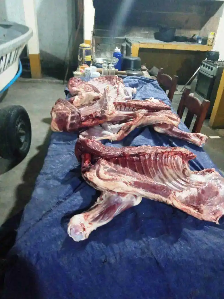 Abigeato calificado: secuestran carne vacuna en un control de tránsito