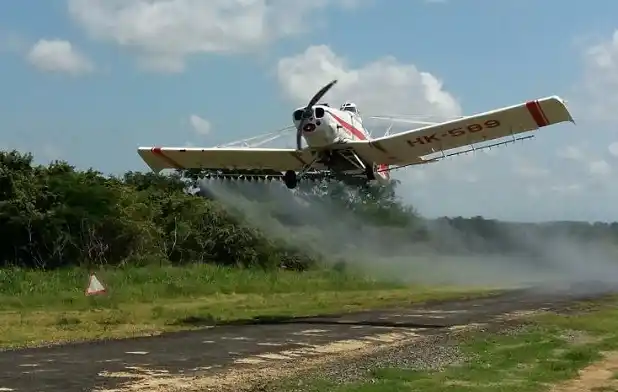 Diputados no tratará la Ley de Fitosanitarios
