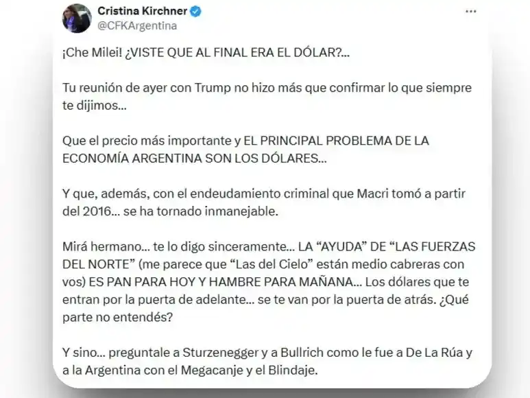 cristina milei - 2