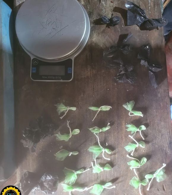 Múltiples allanamientos con secuestro de droga