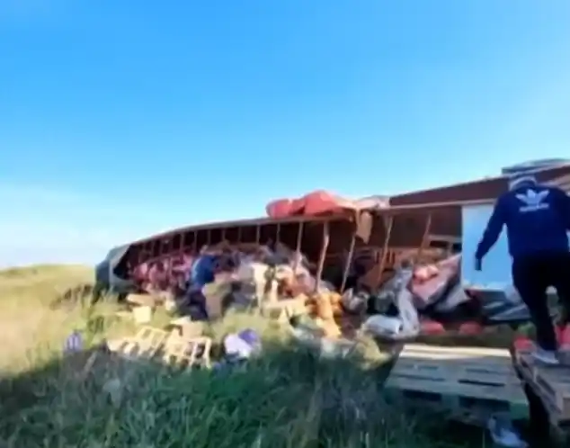 El chofer se quedó dormido y volcó un camión repleto de verduras sobre la ruta 11 en La Costa