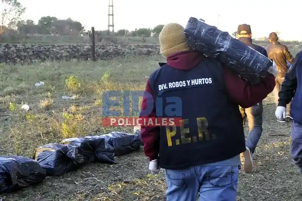 Incautaron más de 500 kilos de marihuana en Paraná