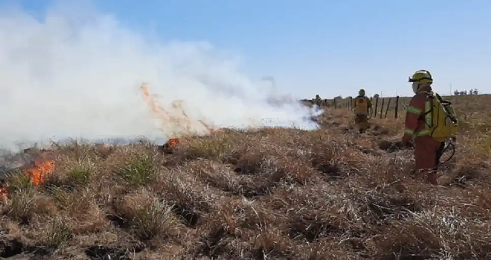 “Sirenazo” de Bomberos Voluntarios de todo el país en repudio al viceministro de Ambiente