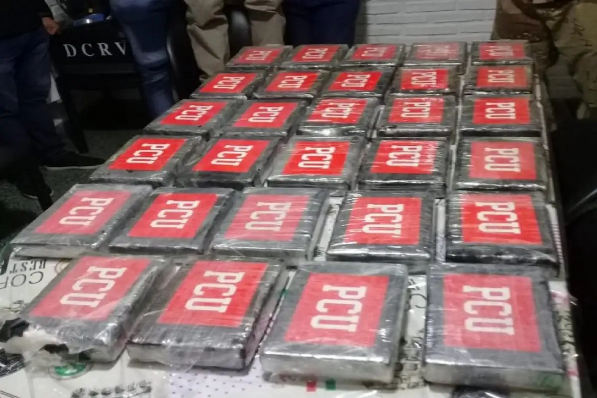 Encontraron  32 kilos de cocaína en una isla de Victoria
