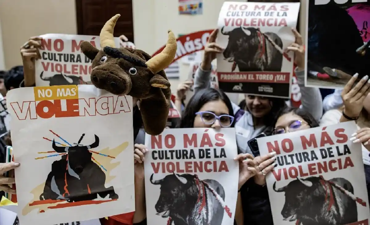¡APROBADO EN EL CONGRESO! Hasta el 2027 habrá CORRIDAS DE TOROS EN COLOMBIA