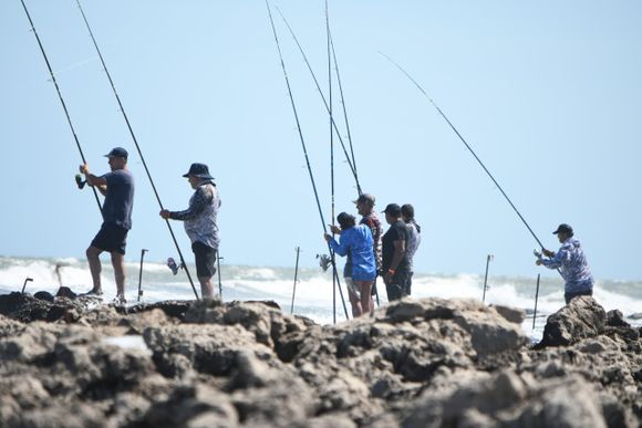 Ya está en marcha las 24 Horas de la Corvina Negra