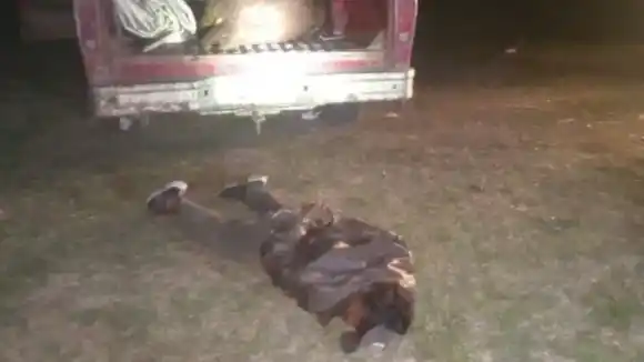 Un exagente de la PAT y sus cómplices fueron imputados por abigeato en Vera