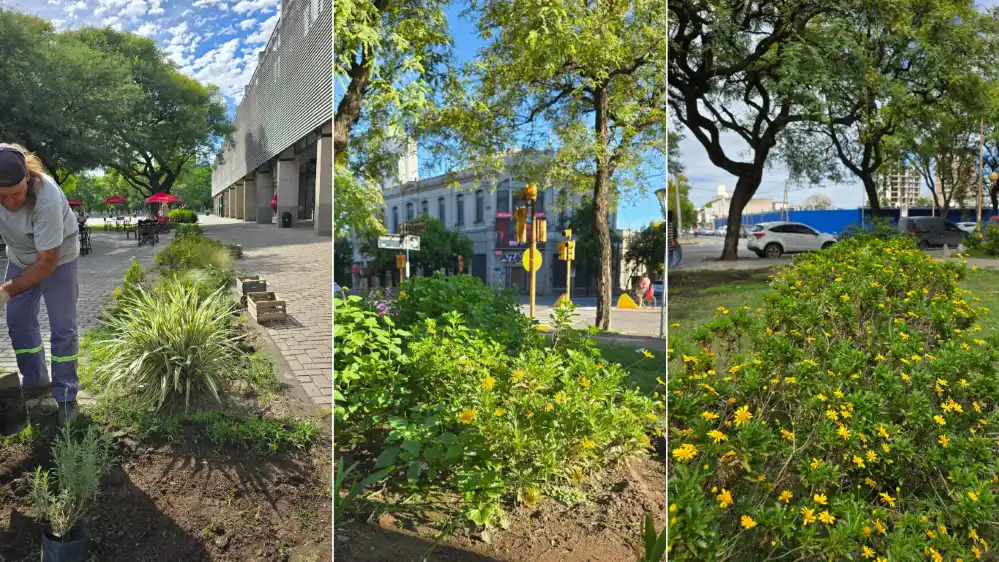 Renuevan plazas, parques y paseos antes de la llegada del otoño