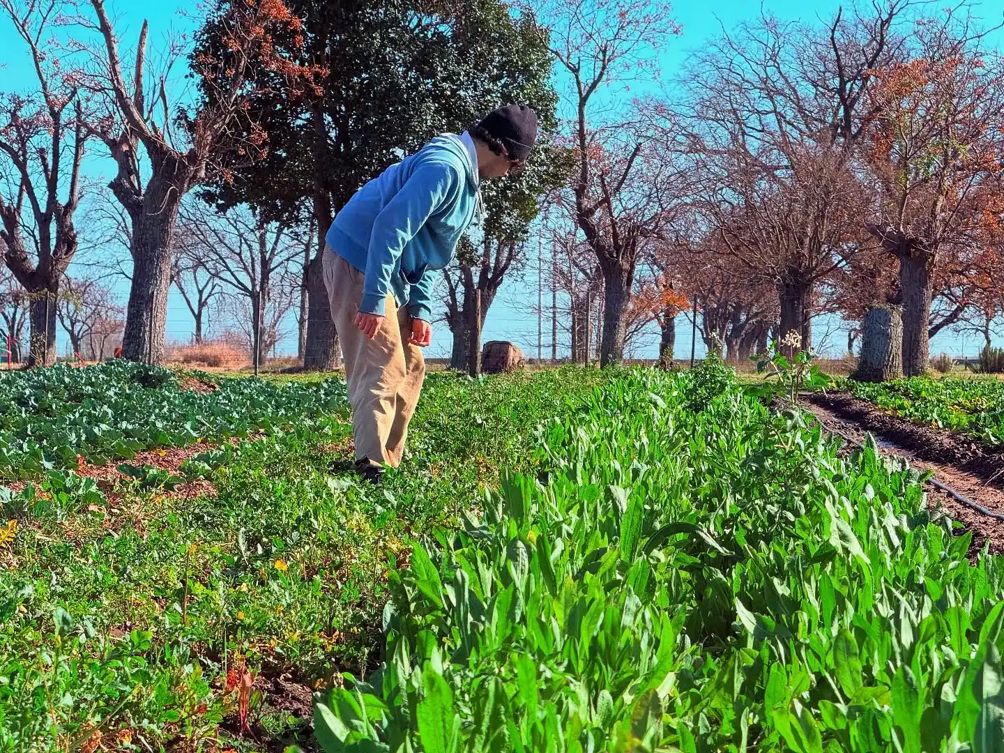 Huerta María Teresa