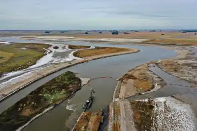 Del total de 17 millones de hectáreas de la Cuenca del Salado, 3.8 millones de has están dedicadas a la agricultura, 11,25 millones de has a la ganadería.