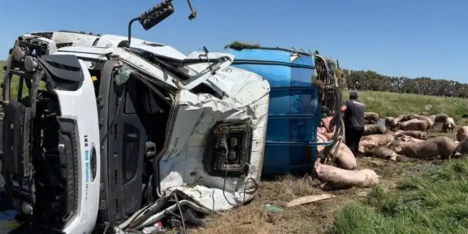 Testigos señalaron que el rodado “mordió la banquina” y perdió el control.