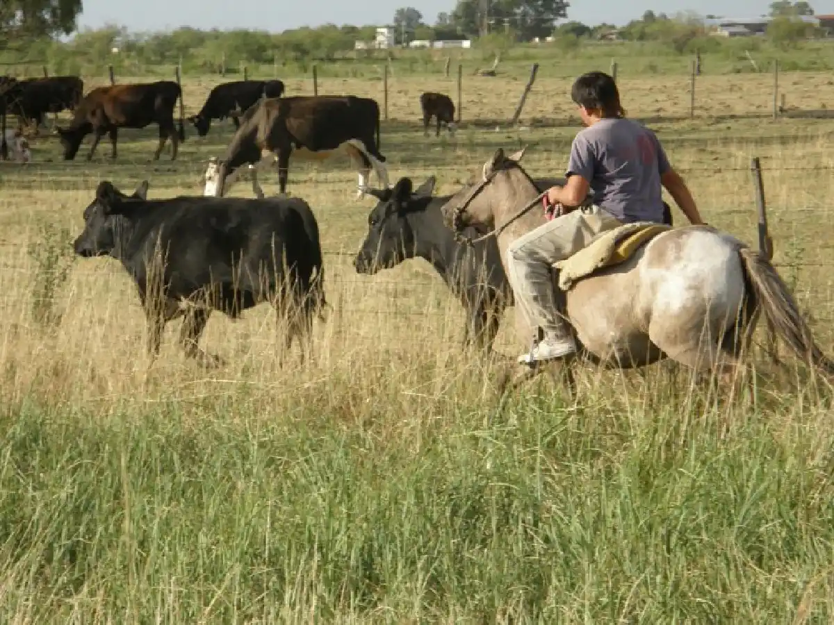 UATRE logró un aumento del 30,8 %
