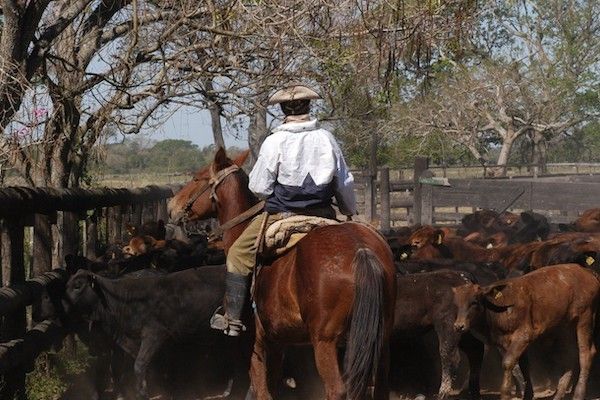 Un informe revela como se reduce y se envejece la población rural entrerriana