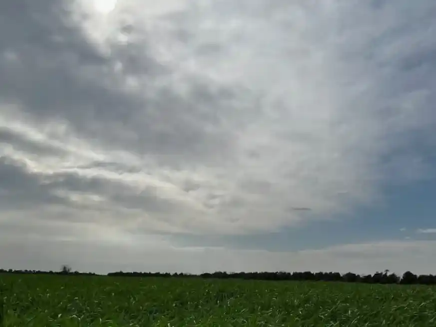 El clima suma incertidumbre: lluvias concentradas y calor extremo.