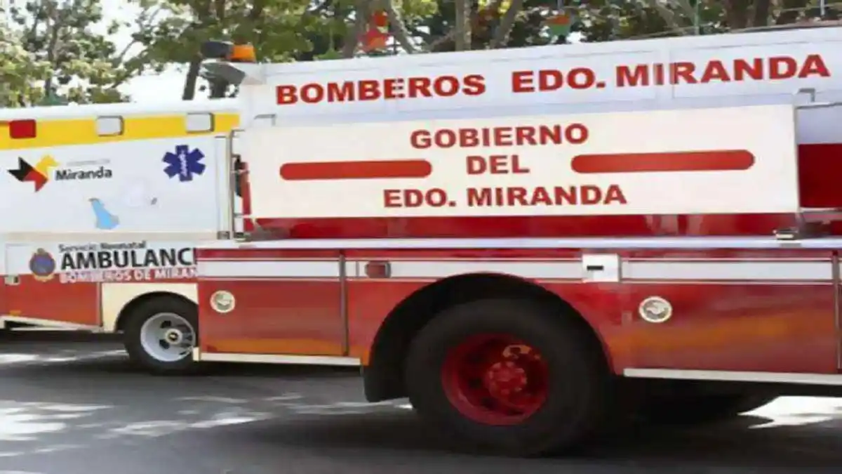 Un bombero muere tras ataque de abejas en los Valles del Tuy