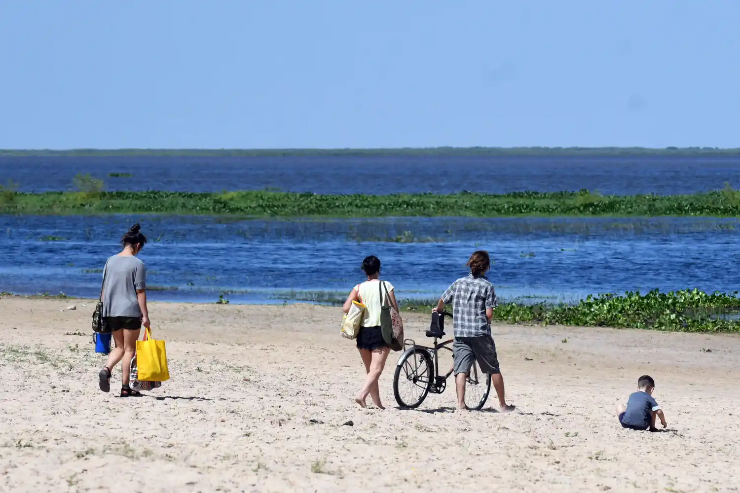Día Mundial de los Humedales: el municipio santafesino concientiza sobre su importancia en el ecosistema