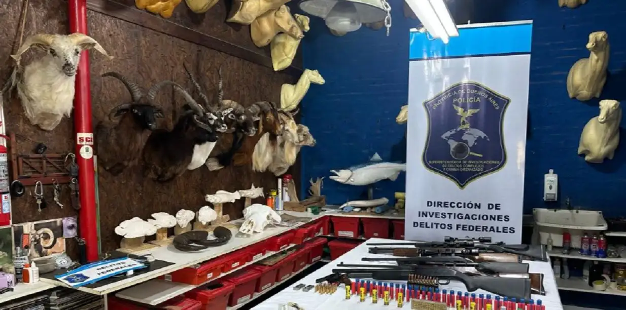 berazategui animales exóticos embalsamados