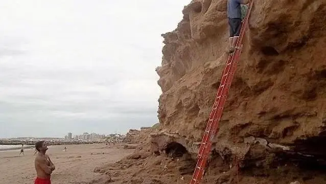 Hallaron el cráneo de un gliptodonte en Miramar