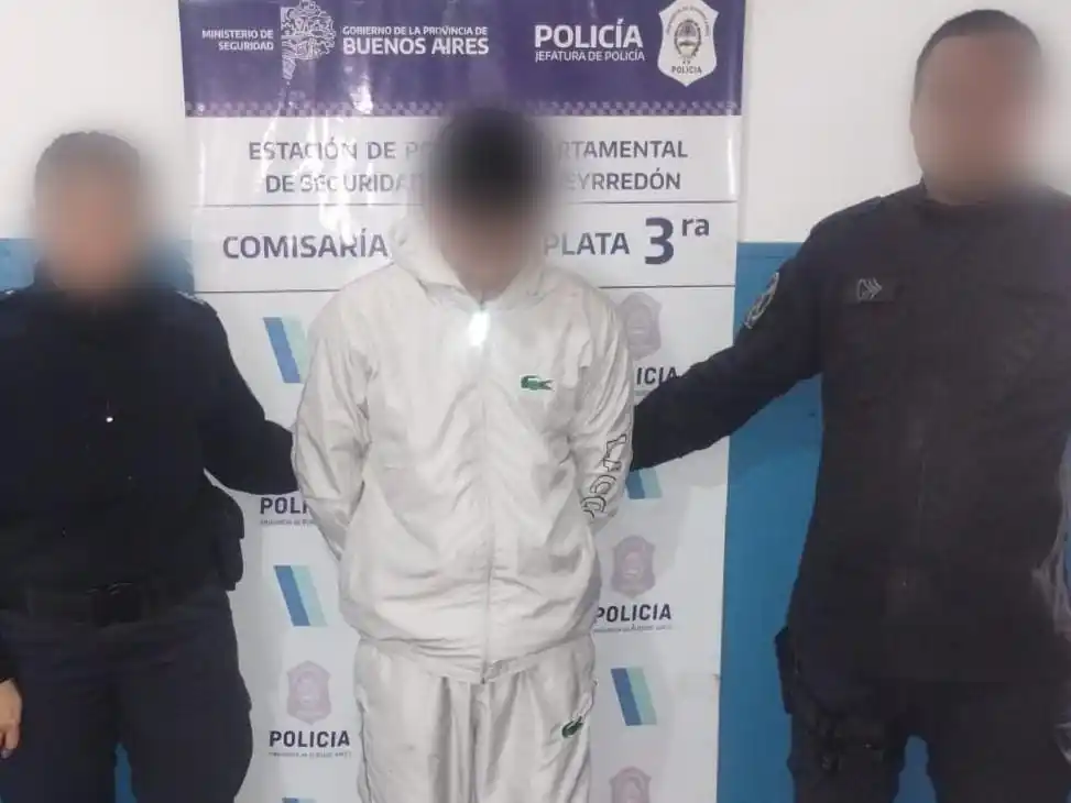 En la vivienda secuestraron 4 teléfonos, 17 partes no registrables de motos y dos plantas de marihuana.