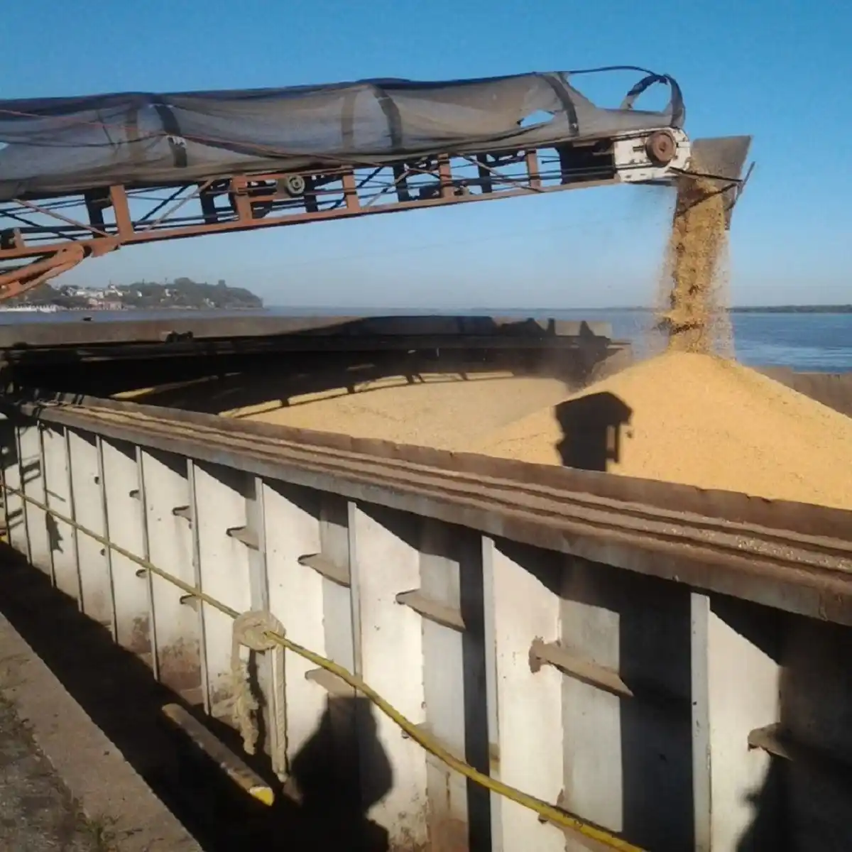 trigo barco