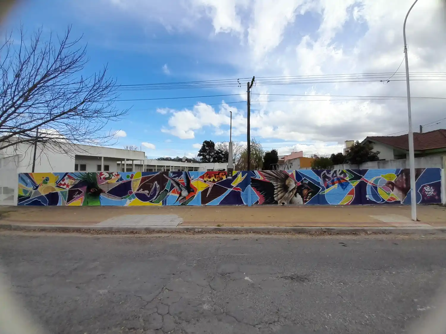 Murales en escuelas Arte Joven - 3