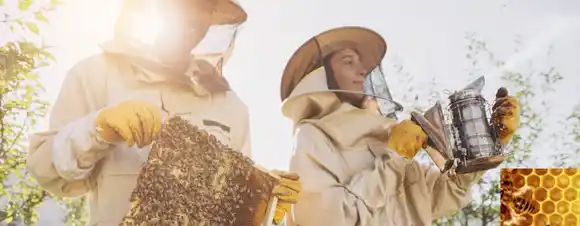 Comienzan las capacitaciones laborales de Auxiliar en Apicultura en distintos departamentos