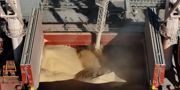 La campaña 2023/24 cierra con récord de exportaciones de aceite de soja