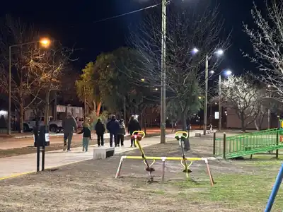 Se presentaron 15 proyectos para mejorar cuatro espacios verdes venadenses