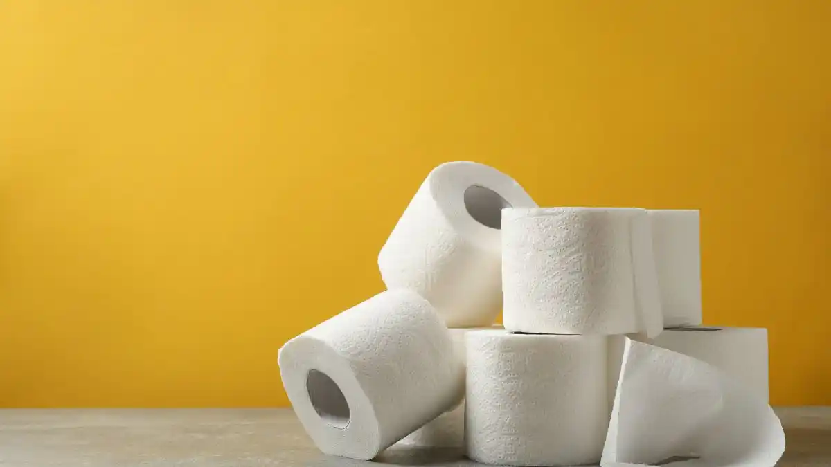 ¿Adiós al papel higiénico?